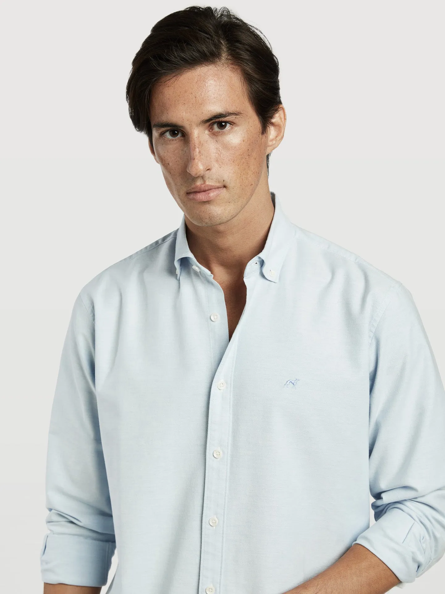 Timeless essential regular fit plain oxford shirt